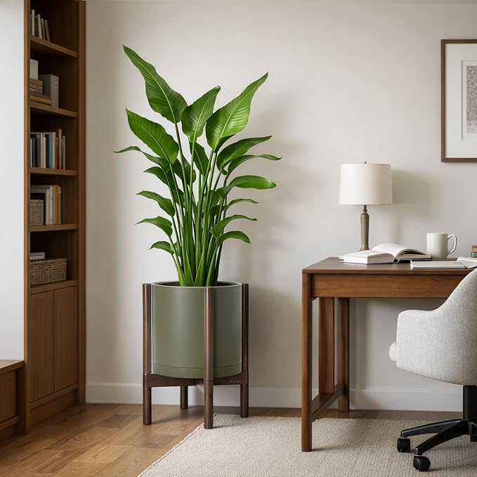 D'vine Dev Plastic Pot with Walnut Wood Stand, Olive, 12 in, 55-C-O-3 | Mid-Century Inspired Design, Elevated Plant Display, Clean Lines, Sturdy Support, Modern Space-Saving Style