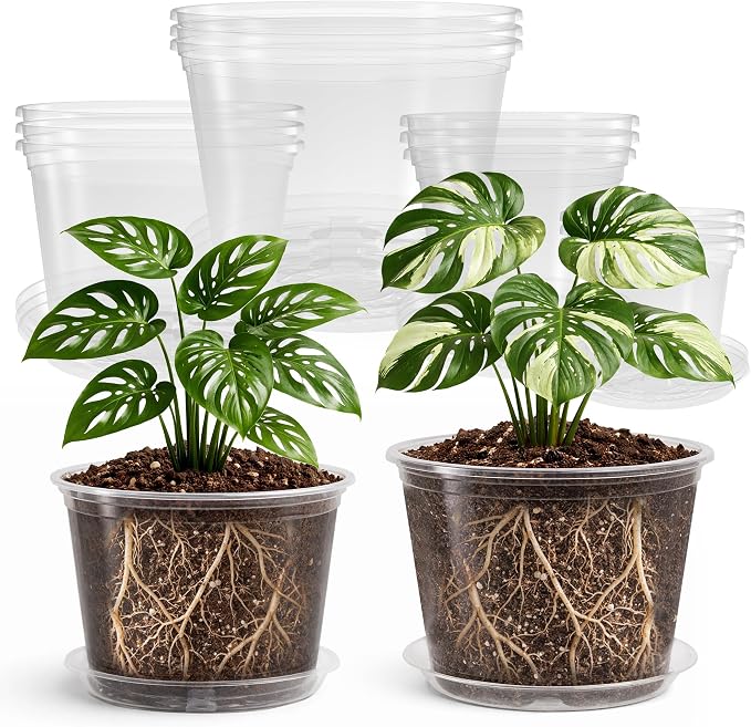 Bluepro Clear Nursery Pots with Saucers, 5/6/8/10 Inch, 12-Pack | Clear PET, 3 Each of Four Large Sizes, Drainage Holes, Root and Moisture Visibility, Indoor Plant Care, Repotting