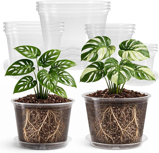 Bluepro Clear Nursery Pots with Saucers, 5/6/8/10 Inch, 12-Pack | Clear PET, 3 Each of Four Large Sizes, Drainage Holes, Root and Moisture Visibility, Indoor Plant Care, Repotting