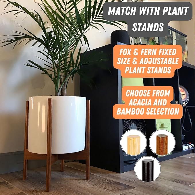 Fox & Fern Large Indoor Planter, Modern Large Plant Pot for Indoor or Outdoor, UV and Frost Resistant - 10 Inch, Glossy White Flower Pot with Drainage Plug, Lightweight