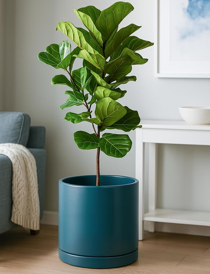 D'vine Dev 12 Inch Ceramic Planter Pot, Teal, 94-O-F-9 | Modern Cylinder Design, Drainage Hole & Saucer Included, Stable Structure, Elegant Home Accent
