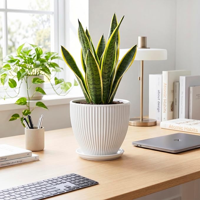 8 Inch Plant Pot, Ceramic Planters for Indoor Plants, Round Pots for Plants with Drainage Hole and Saucer, Modern Decorative Flower Pots, Office Bedroom Decor, Gifts for Plant Lovers, White