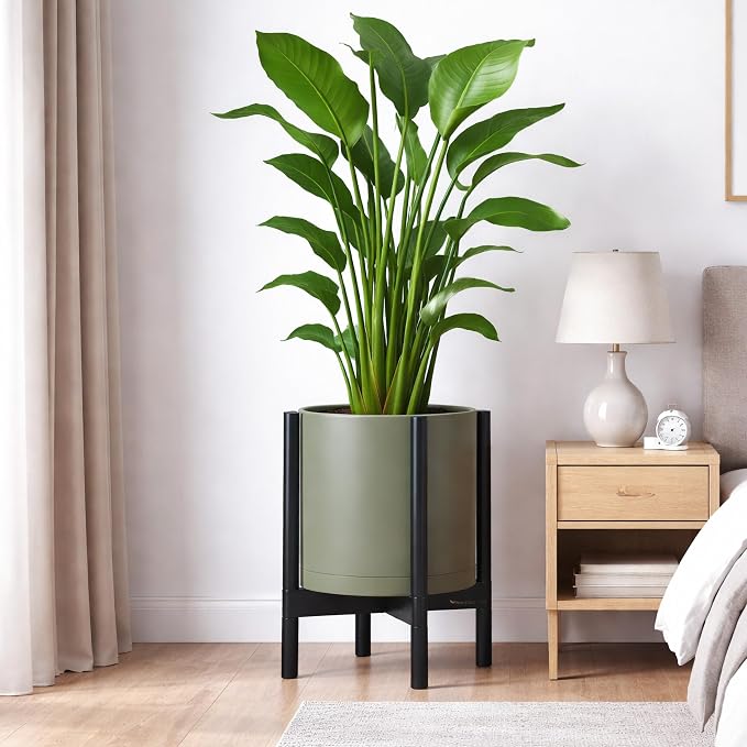 D'vine Dev Plastic Pot with Ebony Wood Stand, Olive, 12 in, 55-C-Q-3 | Mid-Century Inspired Design, Elevated Plant Display, Clean Lines, Sturdy Support, Modern Space-Saving Style