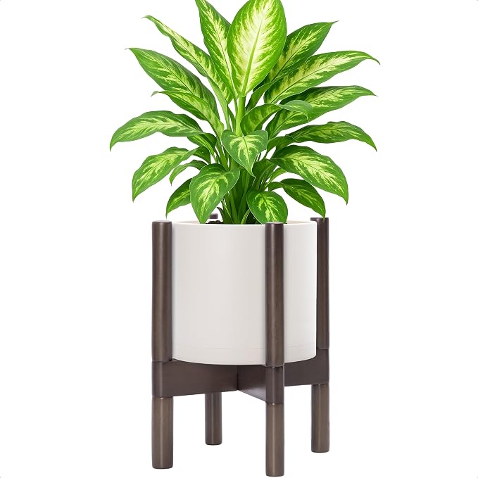 D'vine Dev Plastic Pot with Walnut Wood Stand, Oatmeal, 8 in, 55-C-I-4 | Mid-Century Inspired Design, Elevated Plant Display, Clean Lines, Sturdy Support, Modern Space-Saving Style
