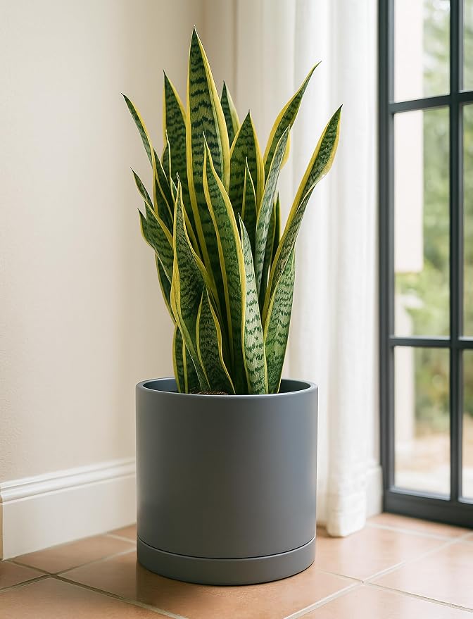 D'vine Dev 12 Inch Ceramic Planter Pot, Grey, 94-O-F-3 | Modern Cylinder Design, Drainage Hole & Saucer Included, Stable Structure, Elegant Home Accent