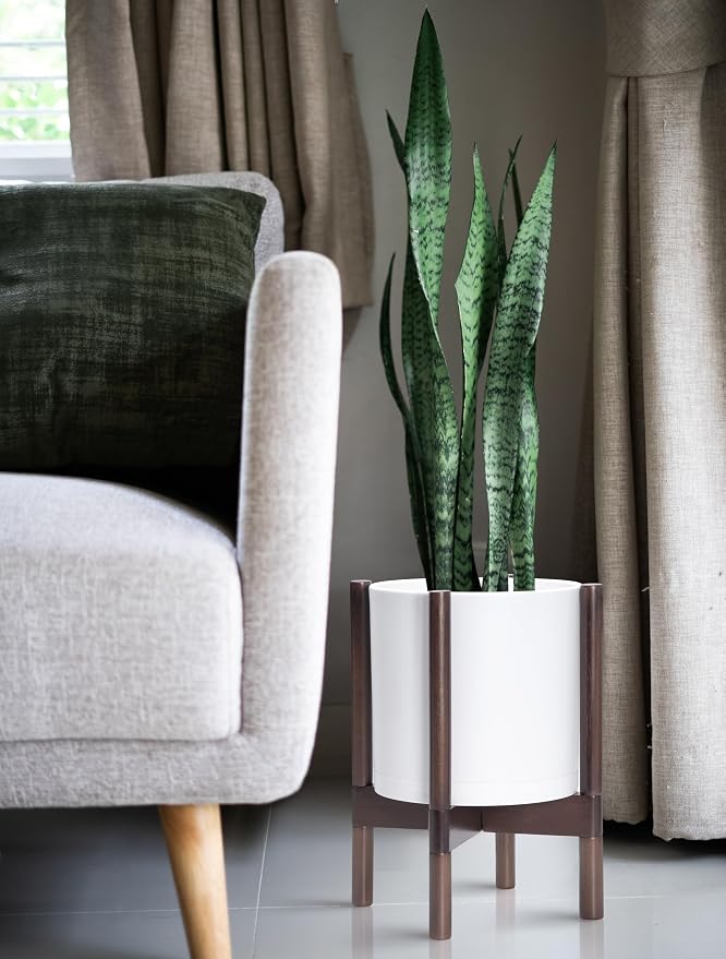 D'vine Dev Plastic Pot with Walnut Wood Stand, White, 10 in, 55-C-L-1 | Mid-Century Inspired Design, Elevated Plant Display, Clean Lines, Sturdy Support, Modern Space-Saving Style