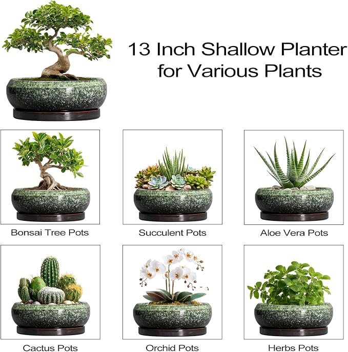Bonsai Pots - 13 Inch Ceramic Succulent Planters Indoor, Round Shallow Planter with Drainage Hole and Saucer, Large Succulent Pot, Bowl Planter Outdoor, House Decor, Housewarming Gift, Green