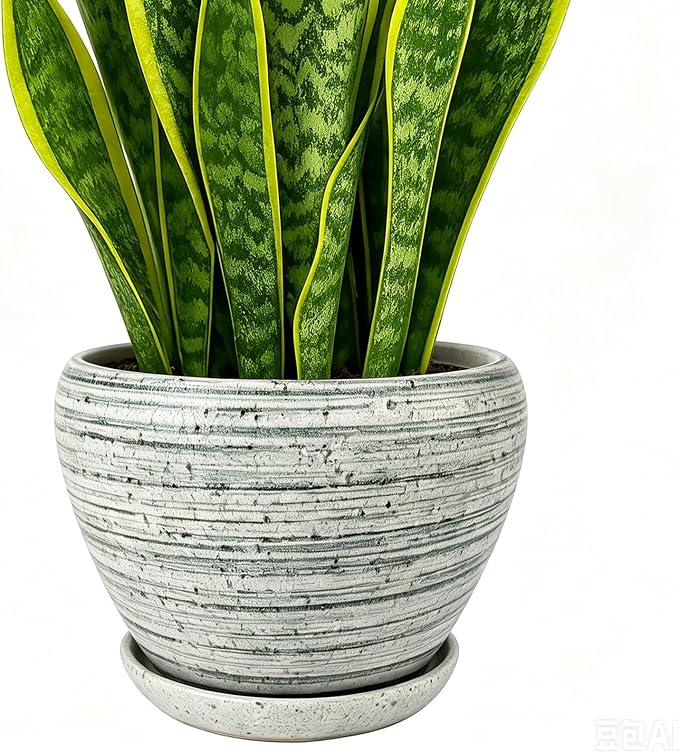 Deep Dream 8 Inch Plant Pots- Ceramic Pots for Plants with Drainage Hole and Saucer, Large Planter Pot for Indoor Plants Outdoor Decor, Brushed Green