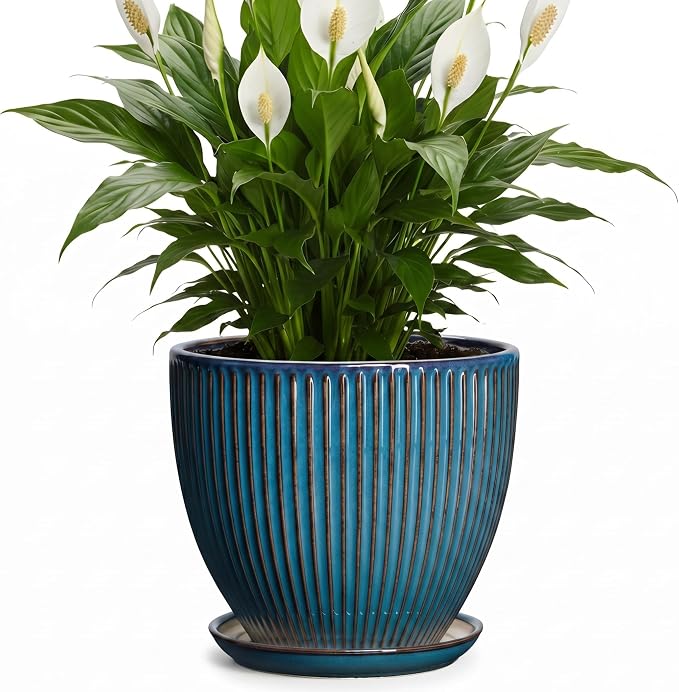 Ceramic Plant Pots, 8 Inch Planters for Indoor Plants, Decorative Flower Pots with Drainage Hole and Saucer, Round Planter, Indoor Flower Pot, Modern Home Decor, Plant Lover Gifts, Retro Blue