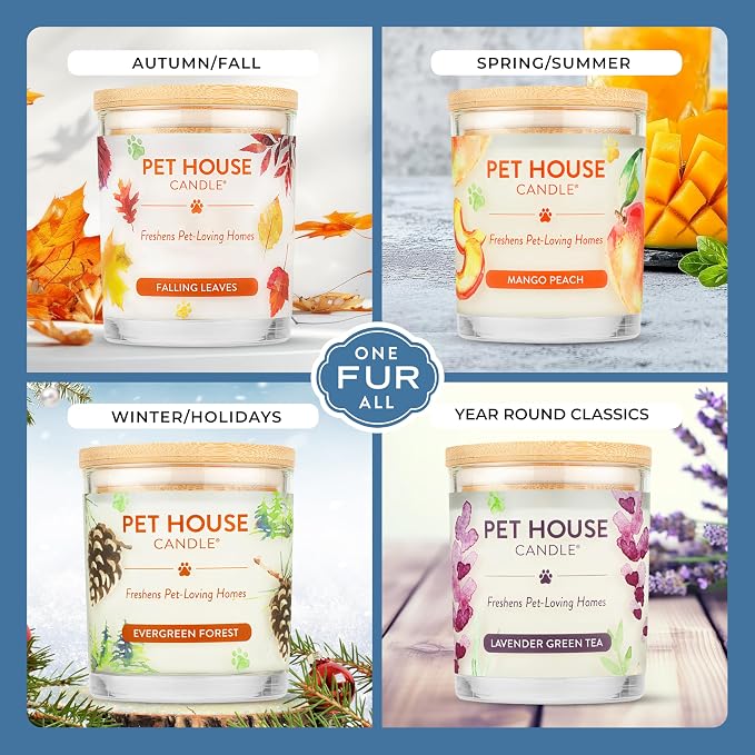 Pet House Candles, Plant-Based, Clean Burning, Long Lasting Scented Candles for Pet Odor - Bamboo Watermint, 2 Pack