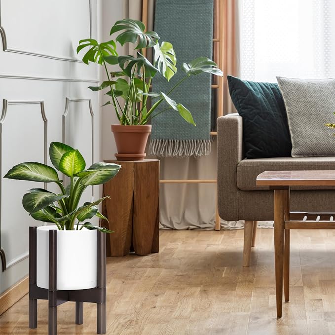 D'vine Dev Plastic Pot with Walnut Wood Stand, White, 8 in, 55-C-I-1 | Mid-Century Inspired Design, Elevated Plant Display, Clean Lines, Sturdy Support, Modern Space-Saving Style