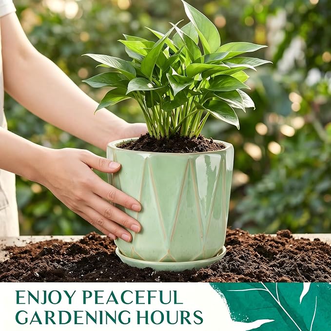 7.8 Inch Ceramic Plant Pot with Drainage Hole Mesh Net, Large Flower Pots for Indoor Plants with Saucer, Gardening Pots Outdoor (Crackle-Green)