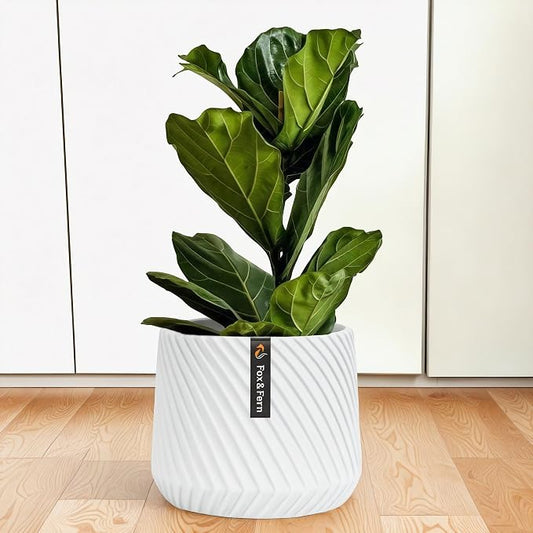 Fox & Fern Large Indoor Planter, Modern Large Plant Pot for Indoor or Outdoor, UV and Frost Resistant - 12 Inch, Matte White Flower Pot with Drainage Plug, 3D Printed Design