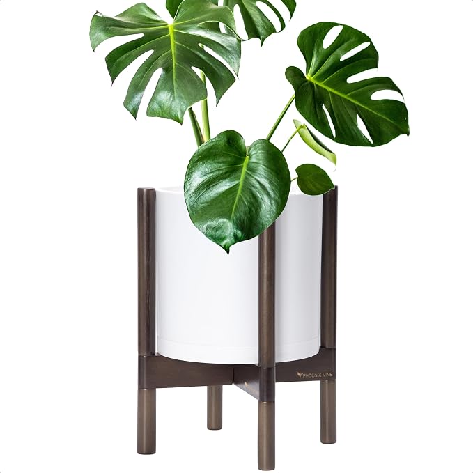 D'vine Dev Plastic Pot with Walnut Wood Stand, White, 10 in, 55-C-L-1 | Mid-Century Inspired Design, Elevated Plant Display, Clean Lines, Sturdy Support, Modern Space-Saving Style