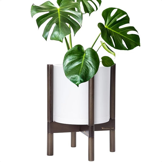 D'vine Dev Plastic Pot with Walnut Wood Stand, White, 10 in, 55-C-L-1 | Mid-Century Inspired Design, Elevated Plant Display, Clean Lines, Sturdy Support, Modern Space-Saving Style