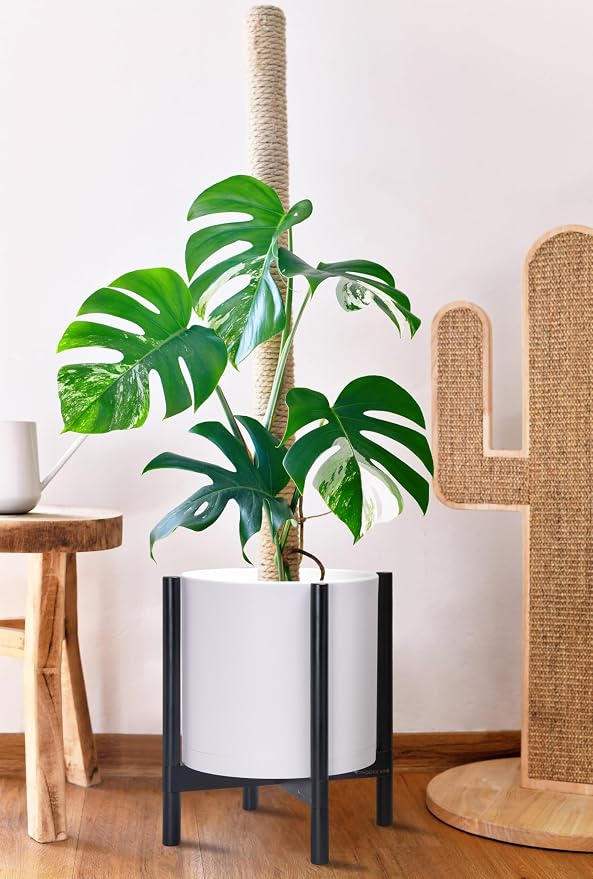 D'vine Dev Plastic Pot with Ebony Wood Stand, White, 14 in, 55-C-T-1 | Mid-Century Inspired Design, Elevated Plant Display, Clean Lines, Sturdy Support, Modern Space-Saving Style