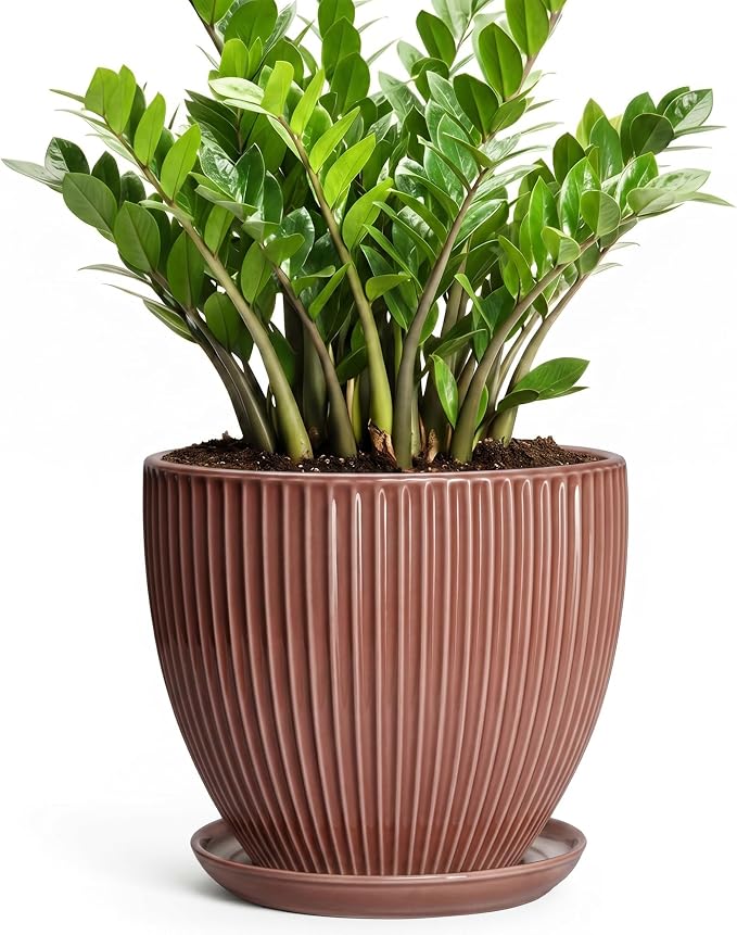 10 Inch Planter, Ceramic Flower Pot with Drainage Hole and Saucer, Round Indoor Plant Pots for Large Plants, Modern Decorative Planter, Home Kitchen Decor, Gifts for Men Women, Rust Red