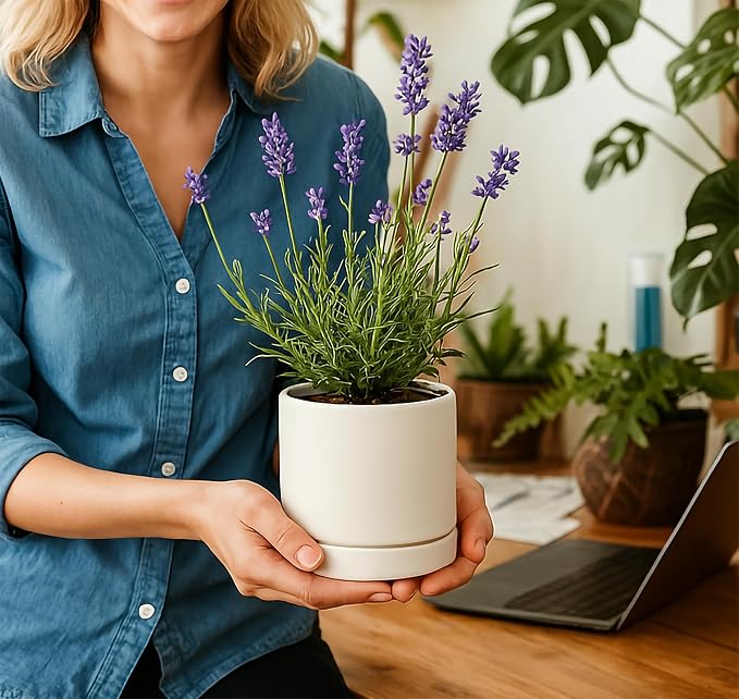 D'vine Dev 4.7 Inch Ceramic Planter Pot, White, 94-O-B-1 | Modern Cylinder Design, Drainage Hole & Saucer Included, Stable Structure, Elegant Home Accent