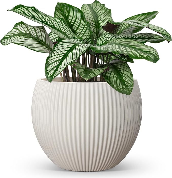 homenote Flower Pots 14.5 Inch,Large Plant Pots Indoor with Drainage,Plastic Pots for Plants,Garden Pots for Outdoor,Large Planters for Indoor Plants,Big Plastic Planter,Cream