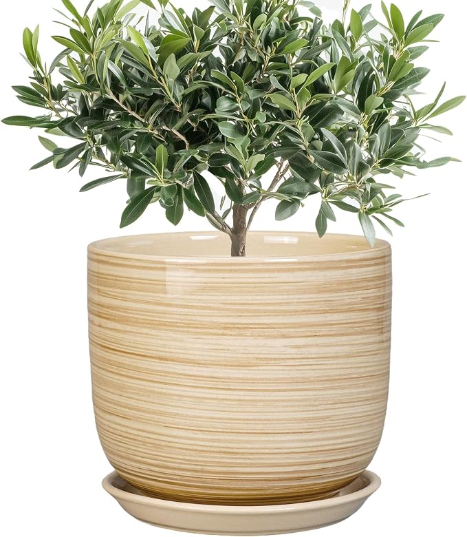 Indoor Plant Pot 8 Inch - Cylinder Modern Ceramic Planter for Indoor Outdoor Plants with Drainage Hole and Saucer, House Office Home Room Desk Decor, Yellow