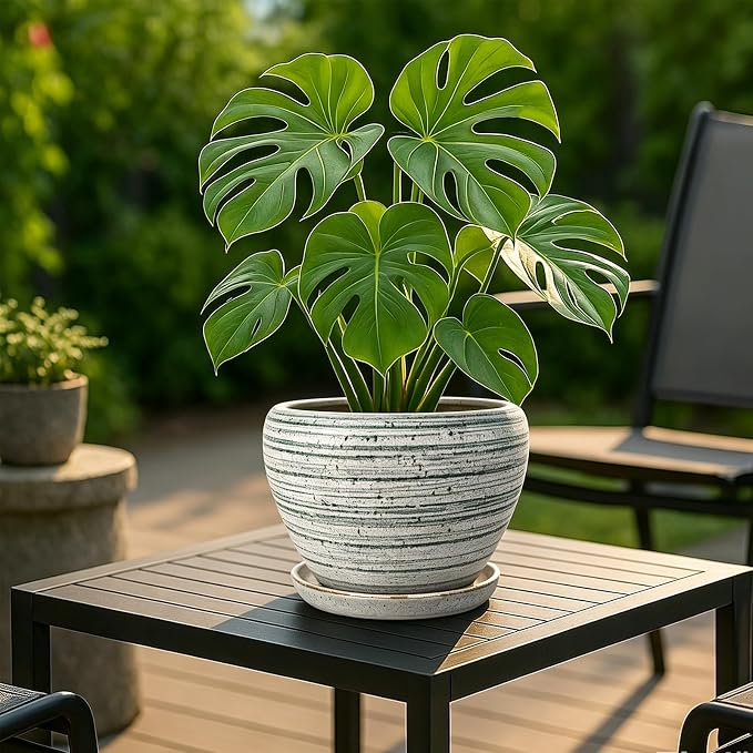 Deep Dream 8 Inch Plant Pots- Ceramic Pots for Plants with Drainage Hole and Saucer, Large Planter Pot for Indoor Plants Outdoor Decor, Brushed Green
