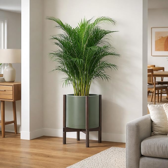 D'vine Dev Plastic Pot with Walnut Wood Stand, Olive, 12 in, 55-C-O-3 | Mid-Century Inspired Design, Elevated Plant Display, Clean Lines, Sturdy Support, Modern Space-Saving Style