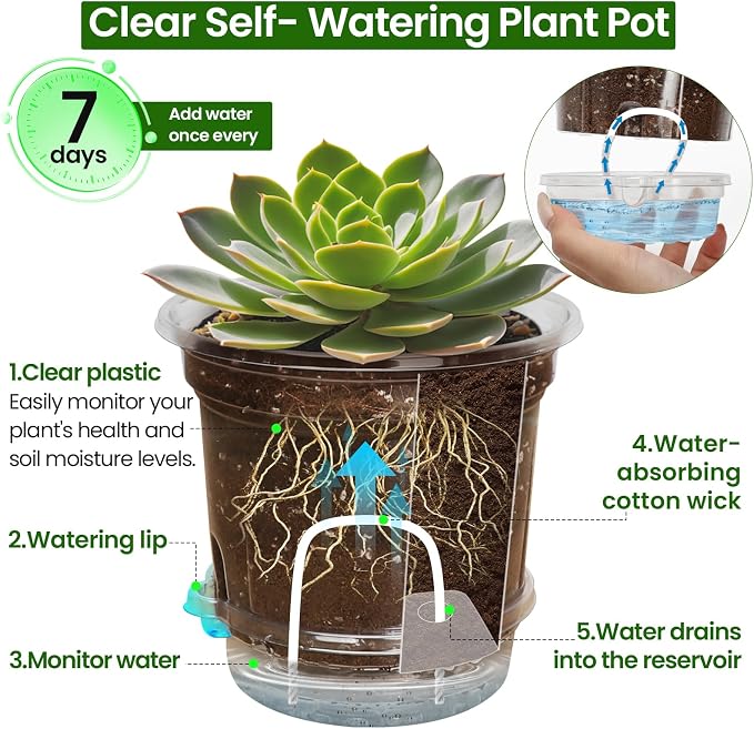 MIXC 12 Pack 5 Inch Self Watering Pots for Indoor Plants with Wicking Rope | Clear Plastic, With Drainage Holes & Deep Reservoirs, Root and Water-Level Visibility, Up to 7-Day Water Supply, Reusable