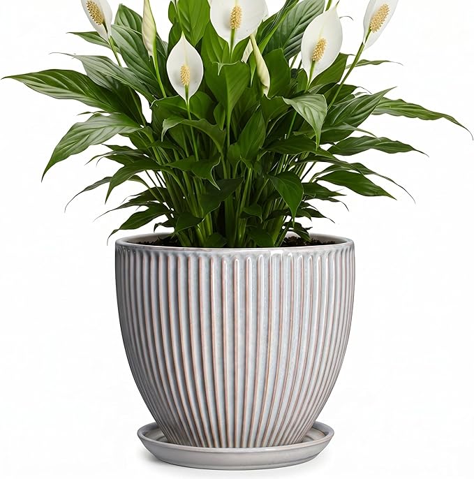 Ceramic Planters for Plants, 8 Inch Flower Pot with Drainage Hole and Saucer, Round Plant Pots for Indoor Plants, Modern Decorative Planter, Home Garden Decor, Gifts for Plant Lovers, Grey