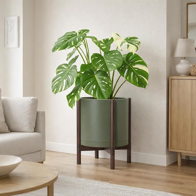 D'vine Dev Plastic Pot with Walnut Wood Stand, Olive, 14 in, 55-C-R-4 | Mid-Century Inspired Design, Elevated Plant Display, Clean Lines, Sturdy Support, Modern Space-Saving Style