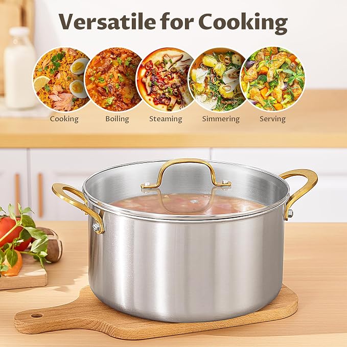 BEZIA 10 QT Stock Pot with Lid, Full Clad Tri-Ply Stainless Steel Soup Pot | Large Induction Cooking Pot, Uncoated & Built to Last, for Festive Party Drinks, Heavy-Duty Stock Base and Seafood Steaming