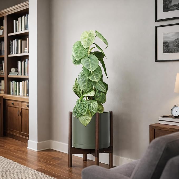 D'vine Dev Plastic Pot with Walnut Wood Stand, Olive, 10 in, 55-C-L-3 | Mid-Century Inspired Design, Elevated Plant Display, Clean Lines, Sturdy Support, Modern Space-Saving Style