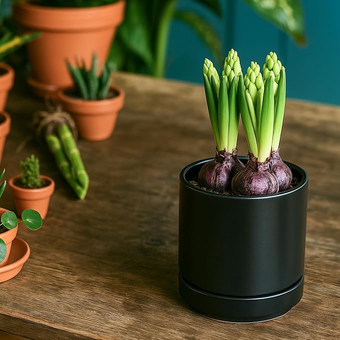 D'vine Dev 4.7 Inch Ceramic Planter Pot, Black, 94-O-B-2 | Modern Cylinder Design, Drainage Hole & Saucer Included, Stable Structure, Elegant Home Accent