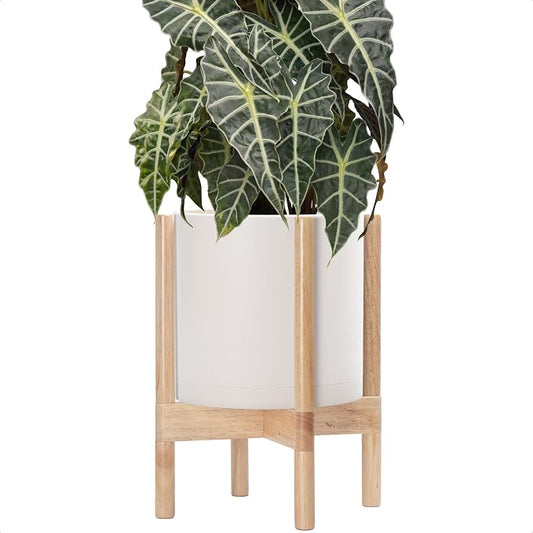 D'vine Dev Plastic Pot with Natural Wood Stand, Oatmeal, 10 in, 55-C-M-4 | Mid-Century Inspired Design, Elevated Plant Display, Clean Lines, Sturdy Support, Modern Space-Saving Style