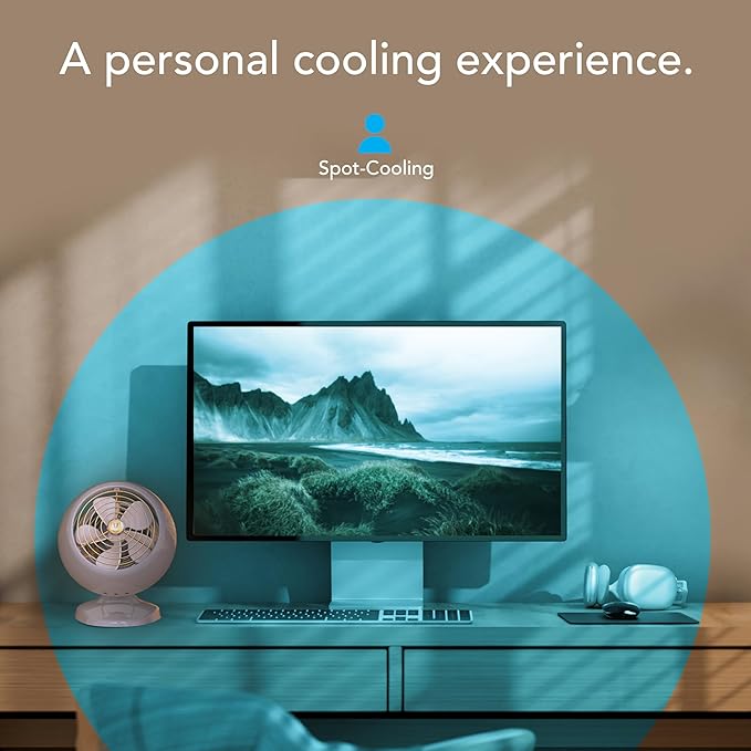 Vornado VFAN™ Mini Classic Vintage Metal Desk Fan, 2-Speed, Adjustable Tilt, Personal Air Circulator for Bedroom, Office, Dorm Room, Portable Quiet, Driftwood
