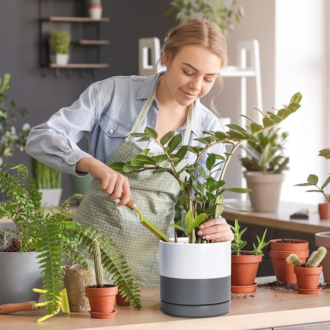D'vine Dev 2-Pack Ceramic Pots with Saucers, White/Grey, 8.2 in, 94-V-D-6 | Modern Cylinder Design, Glazed Ceramic, Drainage Hole & Saucer Included, High Temperature Fired, Elegant Home Accent