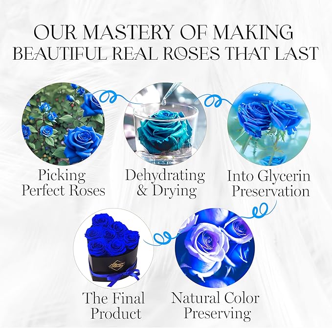 GLAMOUR BOUTIQUE 7 Flower Forever Heart Shape Box, for Mom, Eternal Preserved Roses Gift for Her, Him, Lasting Flowers Bouquet, for Birthday, Anniversary, Blue (Color-Treated)