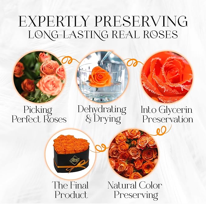 GLAMOUR BOUTIQUE 16 Flower Forever Heart Shape Box, Eternal Preserved Roses Gift for Her, Lasting Flowers, Romantic Floral Keepsake for Birthday, Anniversary or Valentine’s Day, Orange (Color-Treated)