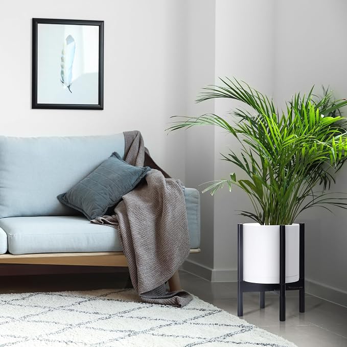 D'vine Dev Plastic Pot with Ebony Wood Stand, White, 10 in, 55-C-N-1 | Mid-Century Inspired Design, Elevated Plant Display, Clean Lines, Sturdy Support, Modern Space-Saving Style