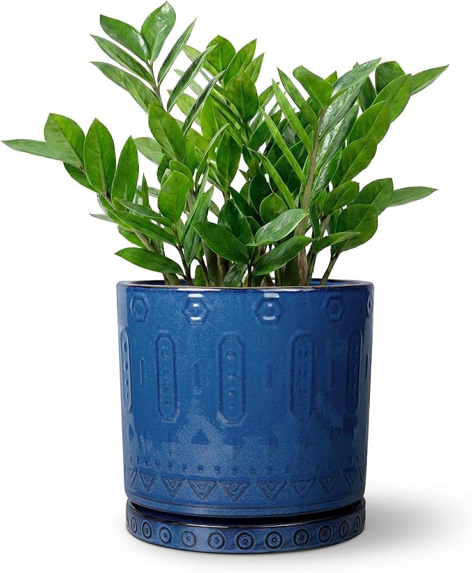 Eightpot 8 Inch Planter, Ceramic Plant Pots with Drainage Hole and Tray, Round Flower Pots for Indoor Plants Outdoor, Boho Planter, Decorative Pot for Plants, Plant Lover Gifts, House Decor, Blue