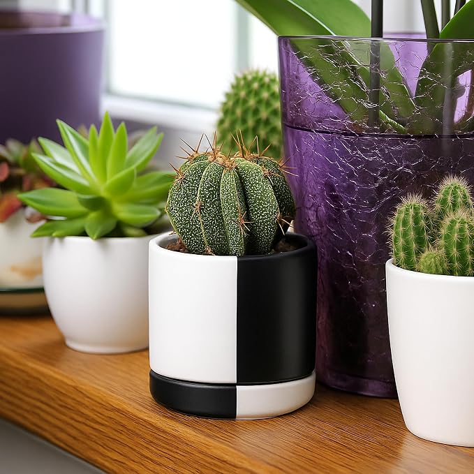 D'vine Dev 3.5 Inch Ceramic Planter Pot, Black White Split, 94-O-A-0 | Modern Cylinder Design, Drainage Hole & Saucer Included, Stable Structure, Elegant Home Accent