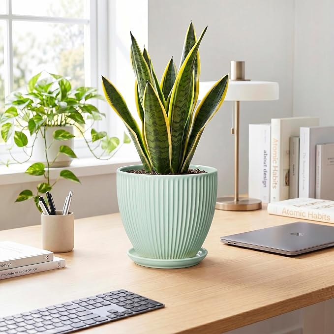 Ceramic Plant Pot, 8 Inch Flower Pots for Indoor Plants, Decorative Flower Planter with Drainage Hole and Saucer, Modern Round Pots for Plants, House Decor, House Warming Gifts, Mint Green