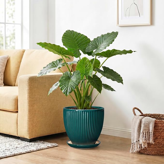 10 Inch Flower Pot, Round Ceramic Planters for Indoor Plants, Decorative Plant Pots with Drainage Hole and Saucer, Modern Large Planter, Office Decor, House Warming Gifts, Blackish Green
