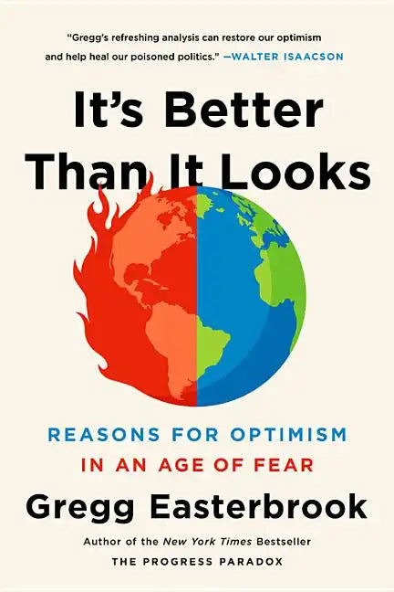 It's Better Than It Looks: Reasons for Optimism in an Age of Fear - Paperback