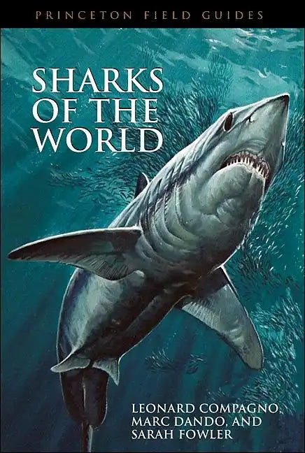 Sharks of the World - Paperback