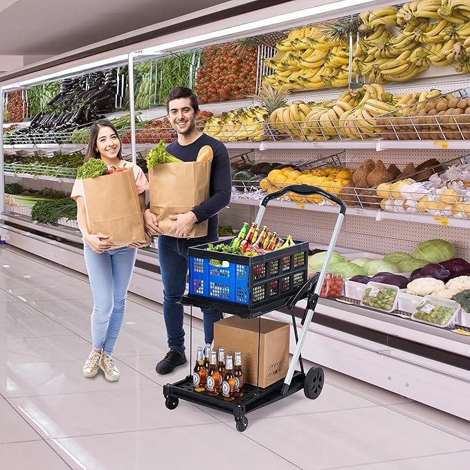 2 Tier Folding Shopping Carts for Groceries, 198 LB Capacity, Collapsible Portable Grocery Cart with Wheels & Removable Crate, Lightweight Foldable Shopping Trolley for Mall Market, Blue