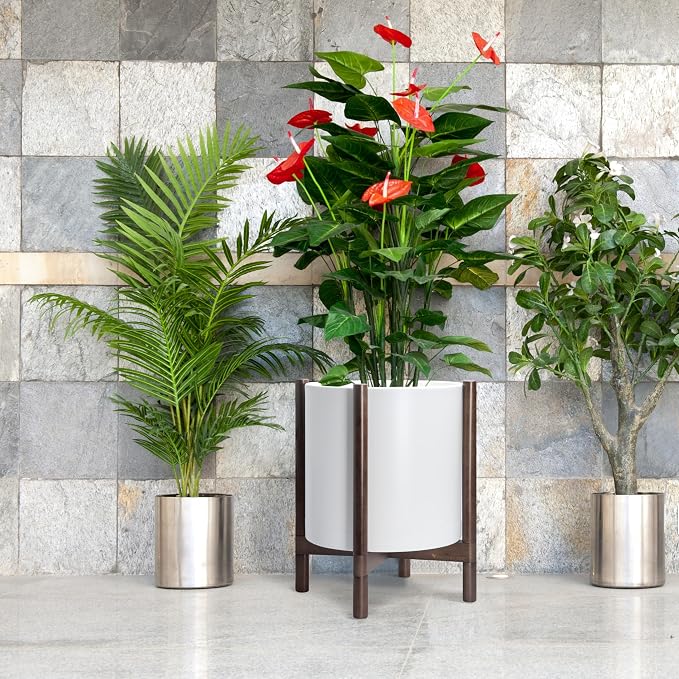 D'vine Dev Plastic Pot with Walnut Wood Stand, White, 16 in, 55-C-X-1 | Mid-Century Inspired Design, Elevated Plant Display, Clean Lines, Sturdy Support, Modern Space-Saving Style