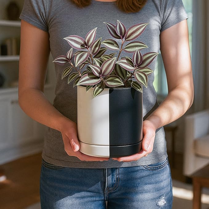 D'vine Dev 6.5 Inch Ceramic Planter Pot, Black White Split, 94-O-C-0 | Modern Cylinder Design, Drainage Hole & Saucer Included, Stable Structure, Elegant Home Accent