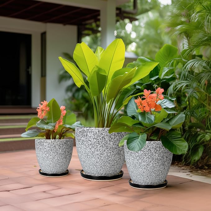 Ceramic Pots for Plants - 10+8+6 Inch Round Flower Pots with Drainage Holes and Saucers, Decorative Planters for Indoor Outdoor, Porch Decor, Housewarming Gifts, Set of 3, White-Black