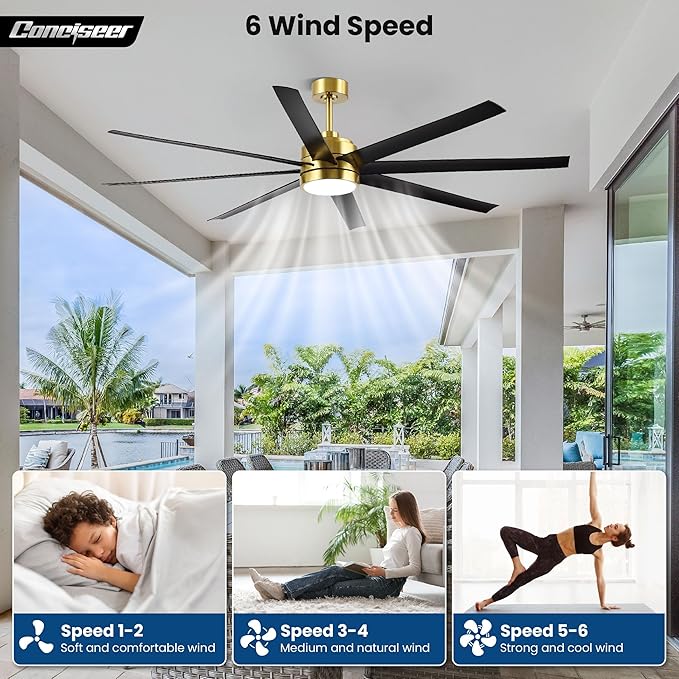 Conciseer 65 Inch Ceiling Fans with Lights and Remote for Bedroom Living Room Kitchen Office, Indoor/Outdoor Use, 6CCT, 8 Blades 6 Speed Reversible Dimmable Quiet DC Motor, Gold/Black