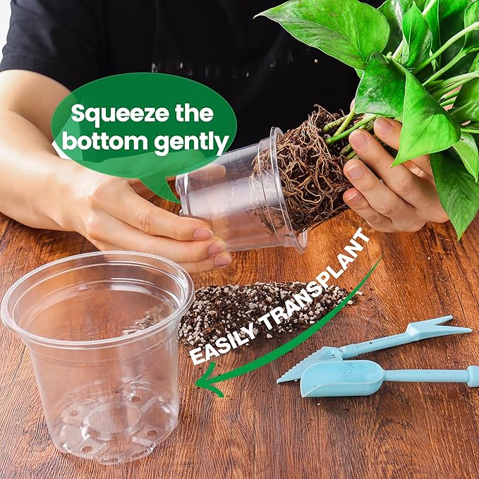 Bluepro Clear Nursery Pots with Drainage Holes, 5/6/8/10 Inch, 16-Pack | Clear PET, 4 Each of Four Large Sizes, Root and Moisture Visibility, Flexible, Reusable, Repotting and Plant Care